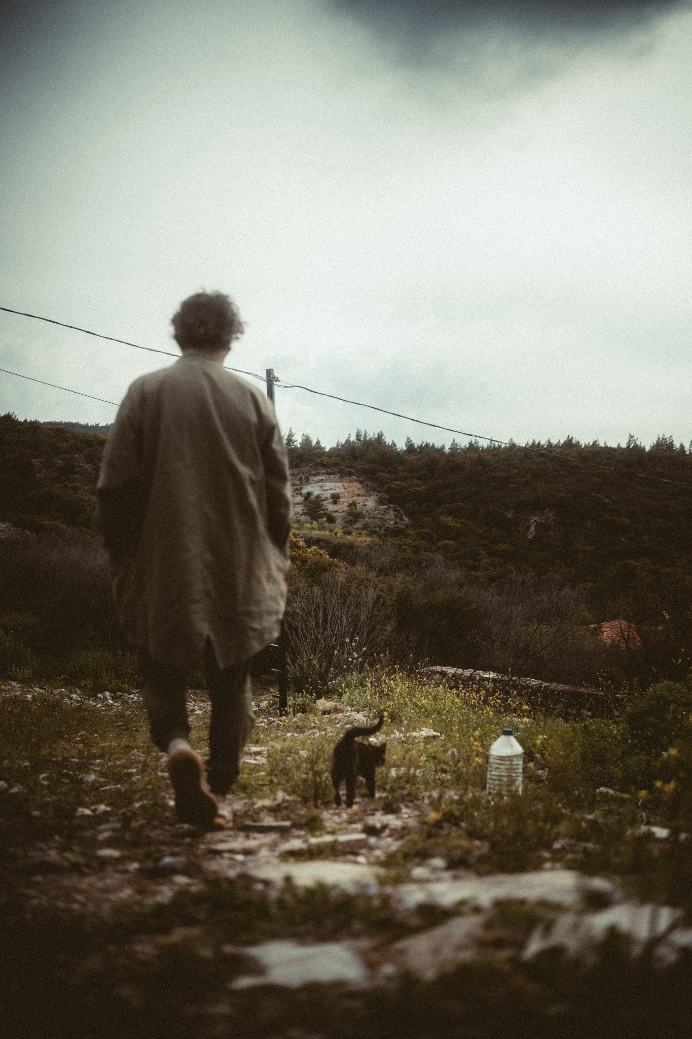 Ali geht mit einer Katze über einen steinigen Weg in Eski Doğanbey, von hinten fotografiert.