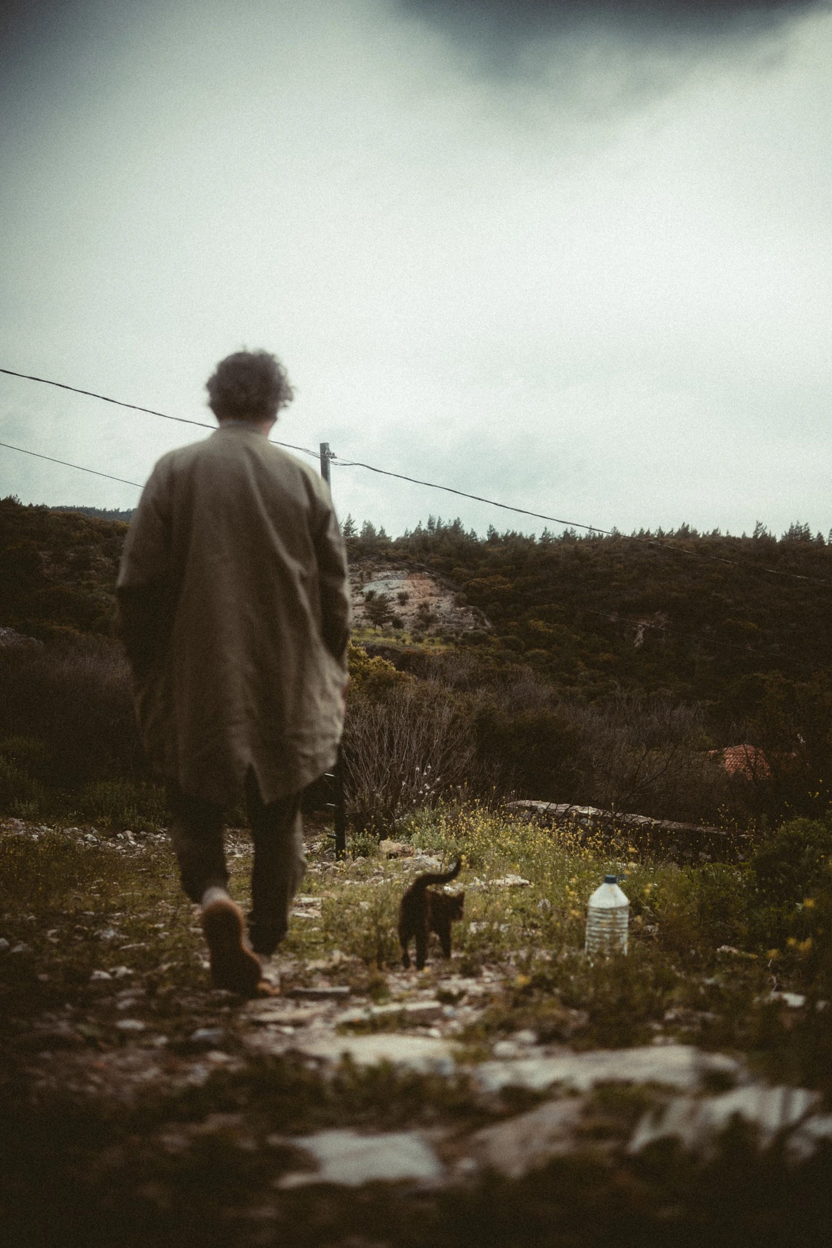 Ali geht mit einer Katze über einen steinigen Weg in Eski Doğanbey, von hinten fotografiert.